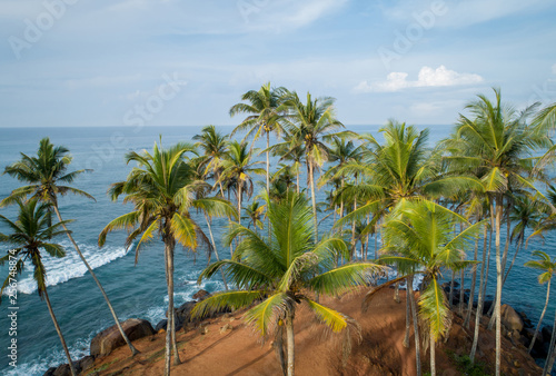 Aerial view of coconut trees at seaside the morning Sri lanka
