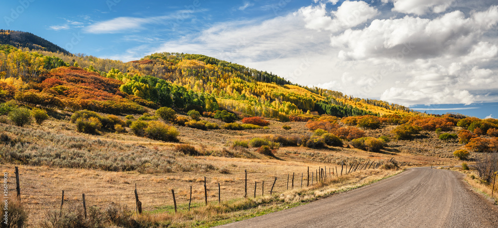 Naklejka premium Autumn Aspen on Cimarron County Road to Silver Jack - Southwest Colorado 