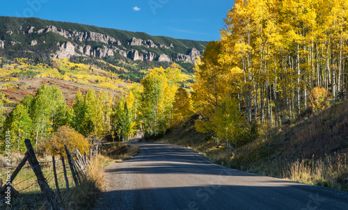 Autumn Aspen Scenic Drive on Cimarron County Road to Silver Jack - Southwest Colorado  photo