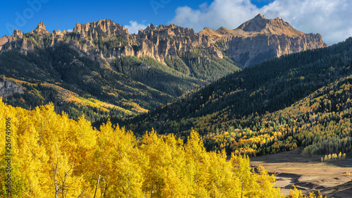Autumn Aspen on Cimarron County Road to Silver Jack - Southwest Colorado 