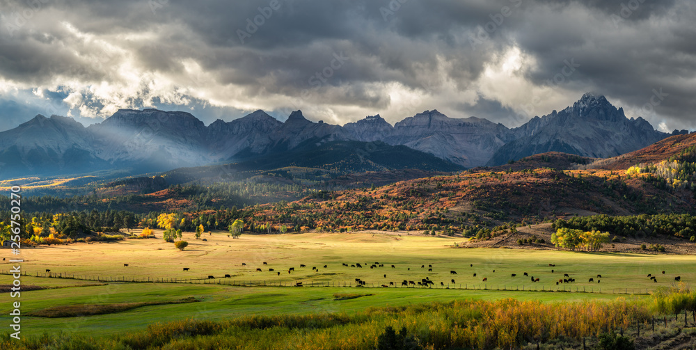 Autumn at a cattle ranch in Colorado near Ridgway - County Road 9 - Ralph  Lauren Double RL - Rocky Mountains Stock Photo | Adobe Stock