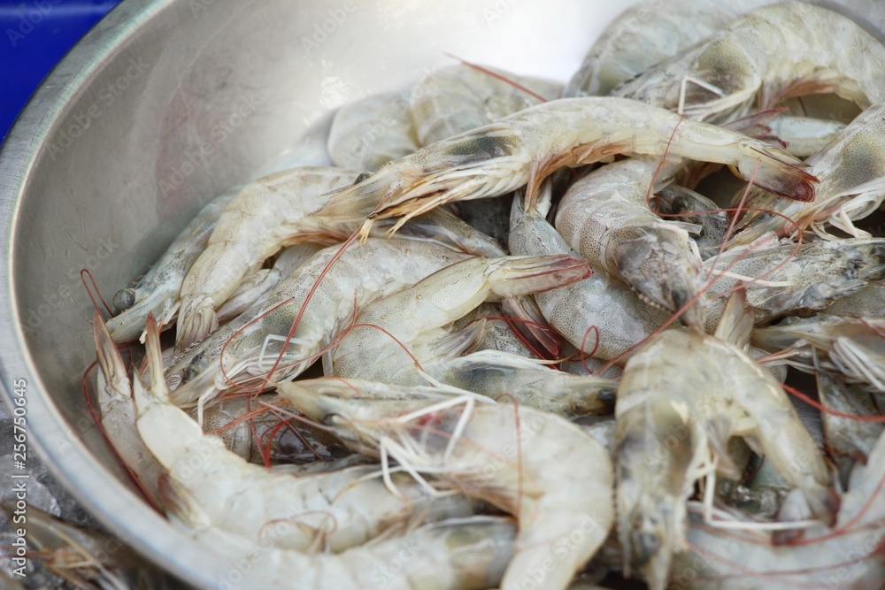 Fresh shrimp for cooking at street food Fresh shrimp for cooking at street food