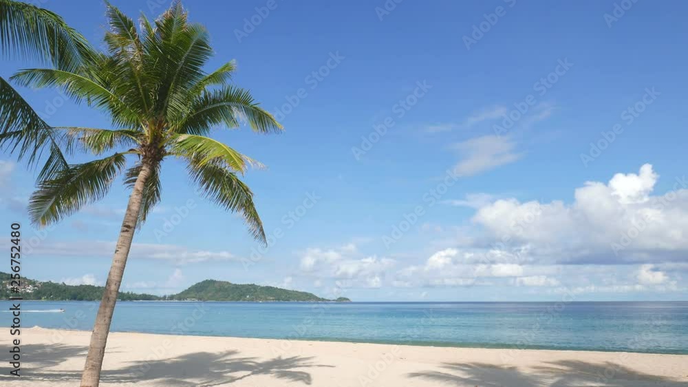 A palm tree gently sways in the wind at a beautiful white sand beach while a boat passes in the background.
