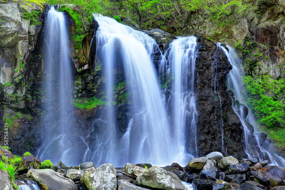 Fototapeta premium 千ヶ滝