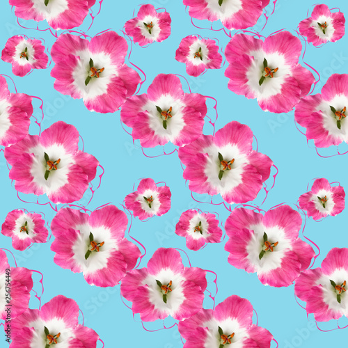 Geranium, pelargonium. Seamless pattern texture of flowers. Floral background, photo collage © svrid79