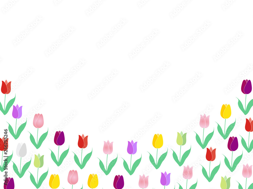 チューリップ　花　カラフル　背景