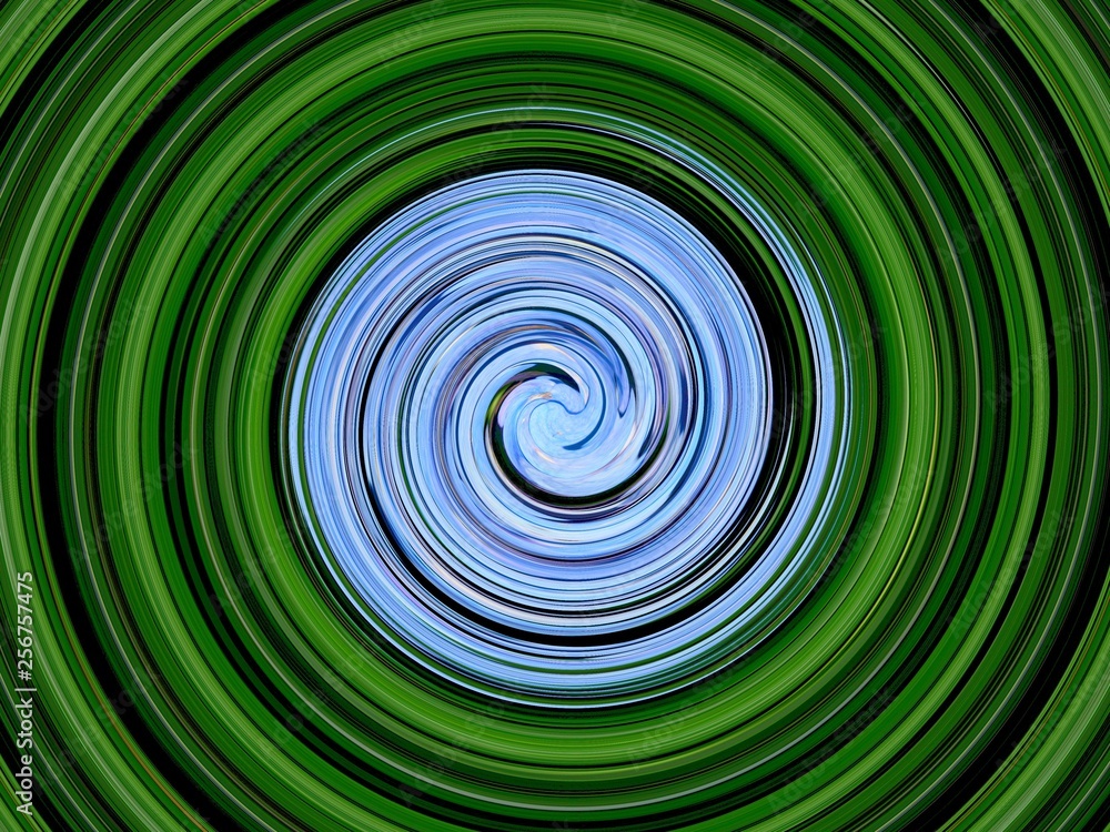 Obraz premium Hortensia