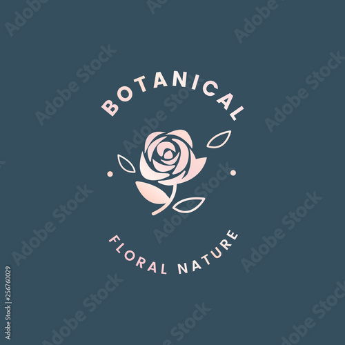 Botanical floral illustration