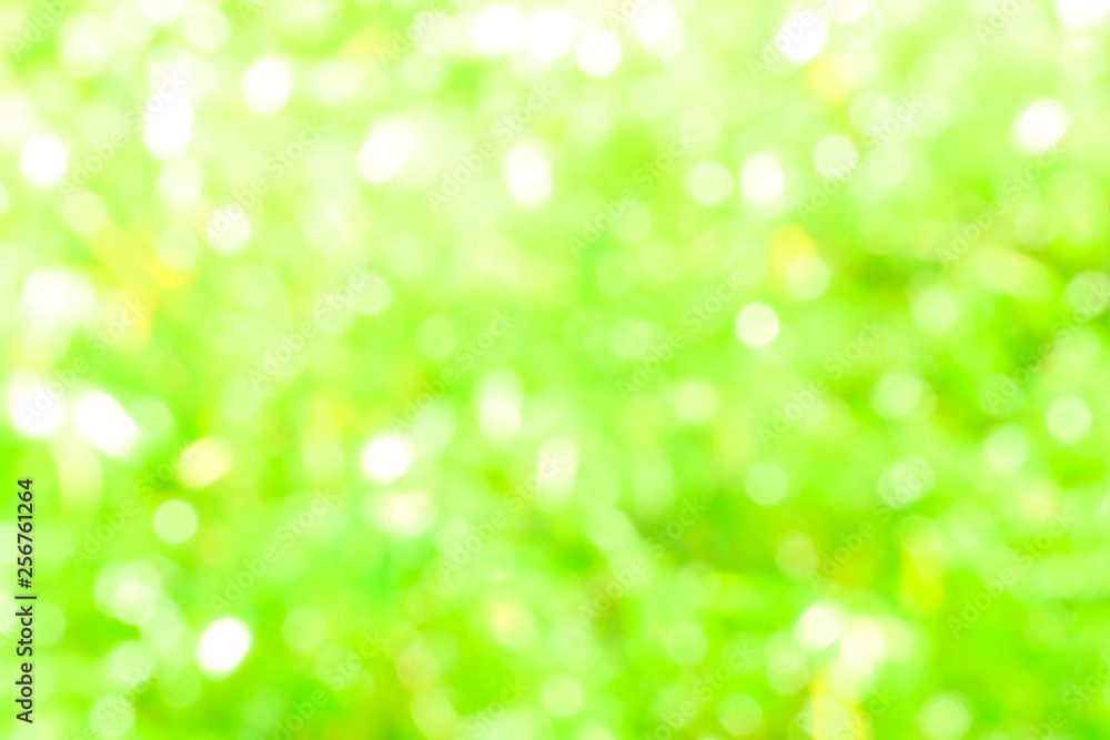 Green bio background, abstract blurred foliage bright sunlight. Organic design nature abstract background with copyspace for text advertising design. Green abstract light background and bokeh effect Green bio background, abstract blurred foliage bright sunlight. Organic design nature abstract background with copyspace for text advertising design. Green abstract light background and bokeh effect
