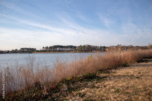 landscape with river and blue sky