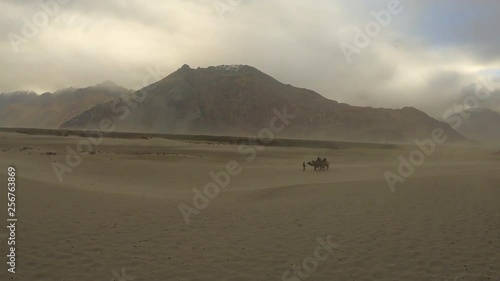 Camel safari in Nubra Valley,Leh Ladakh India