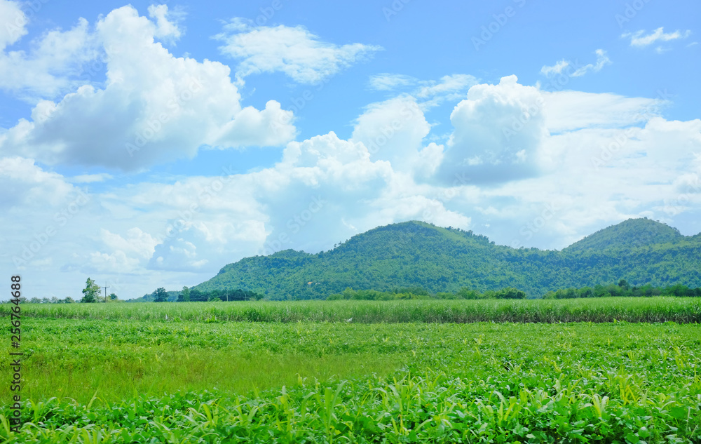 Landscape view of agricultural fields with mountain background and blue sky.