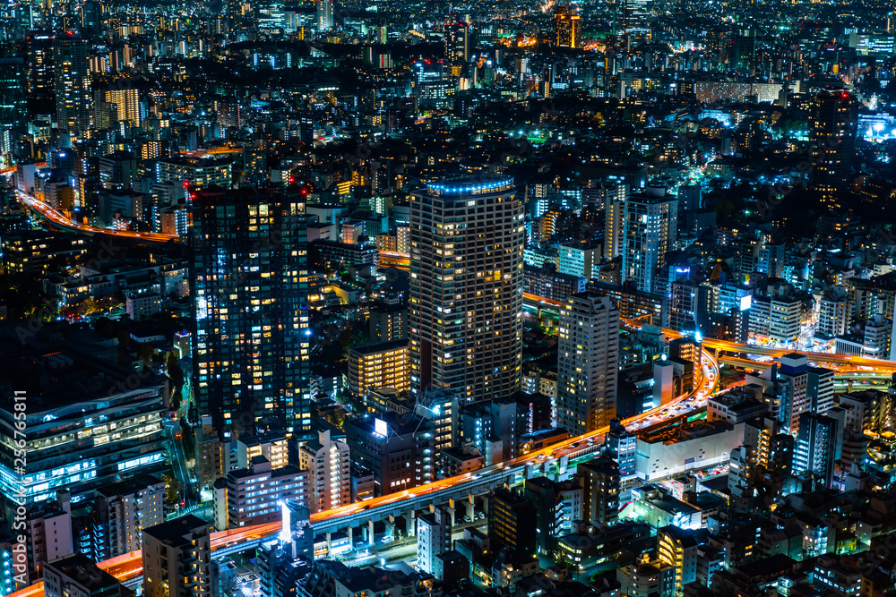 Fototapeta premium city skyline aerial night view in Tokyo, Japan