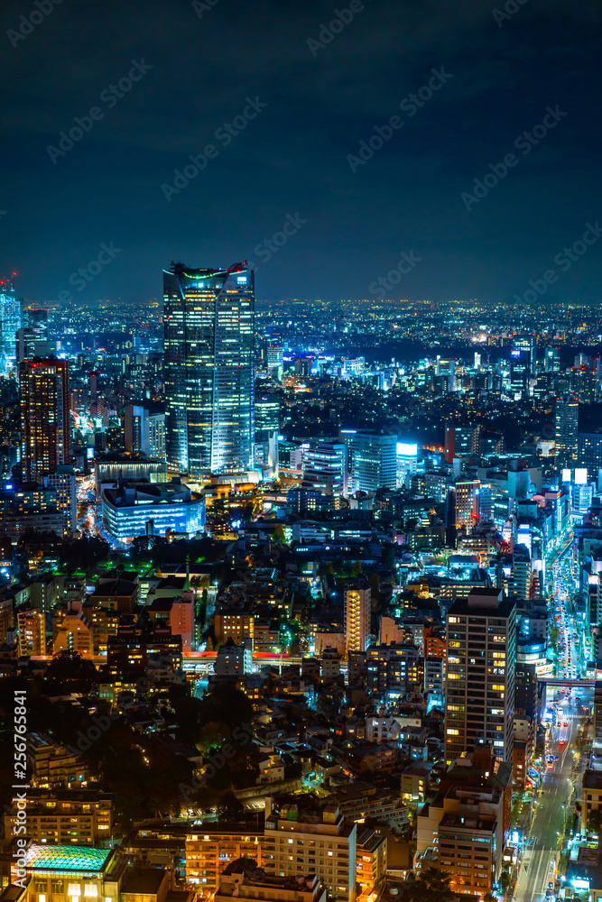 Fototapeta city skyline aerial night view in Tokyo, Japan