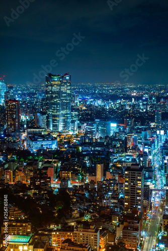 city skyline aerial night view in Tokyo, Japan © voyata