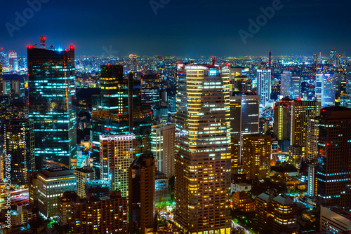 city skyline aerial night view in Tokyo, Japan © voyata