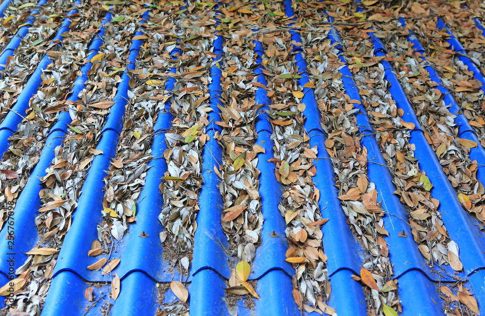 Fototapeta premium Fallen dried leaves on the roof of the blue tiles.