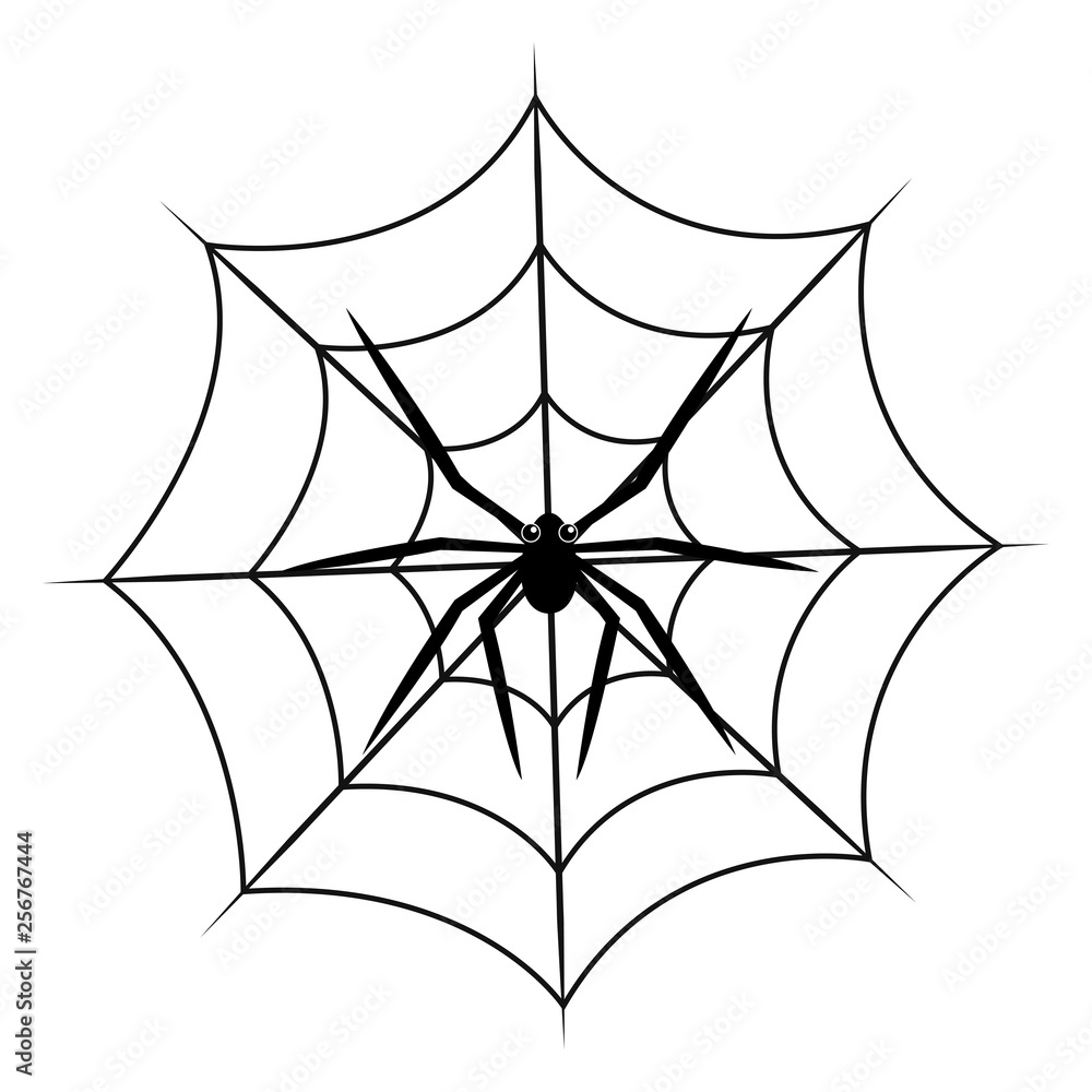 Fototapeta premium Spider on cobweb isolated on white background. Vector illustration