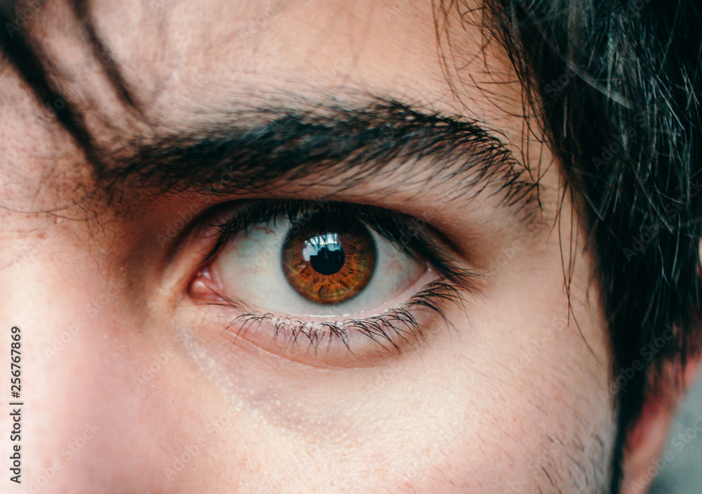 Fototapeta premium ojo