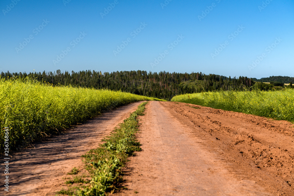 Dirt road and landscape countryside.