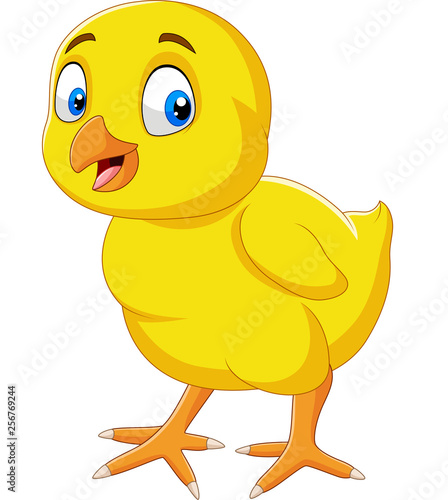 Cartoon funny little chick isolated on white background