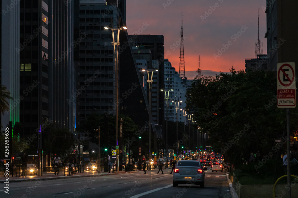Avenida Paulista - Linda Paisagem