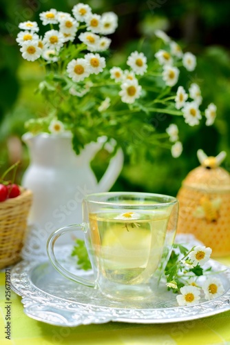 Fototapeta Naklejka Na Ścianę i Meble -  Cup of chamomile tea