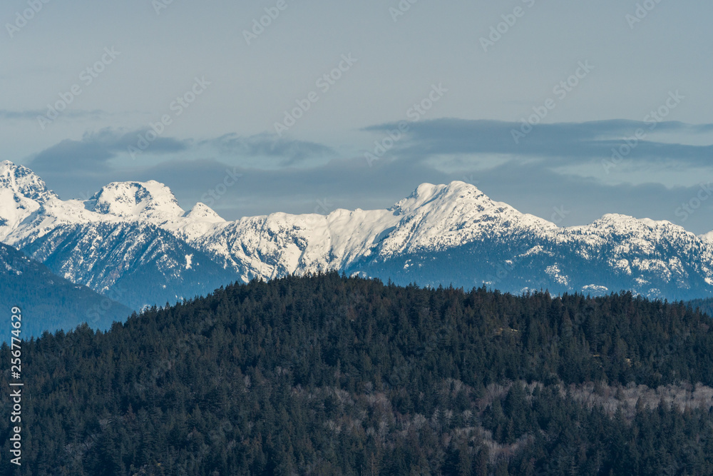 Fototapeta pokryte śniegiem pasmo górskie za zalesionym stokiem w pochmurny dzień