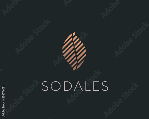 Abstract universal leaf logo. Elegant linear airy sail flame vector logotype.