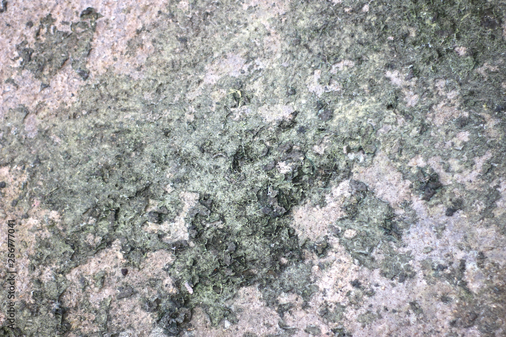 Aged cracked concrete stone plaster wall background and texture style Aged cracked concrete stone plaster wall background and texture style