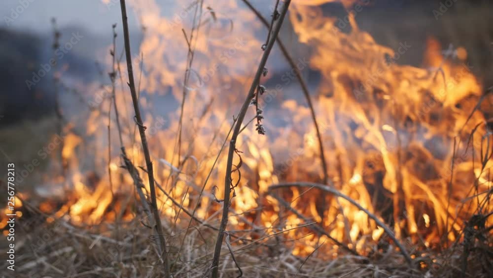 The fire engulfed the dry grass in the countryside. The fire engulfed the dry grass in the countryside.
