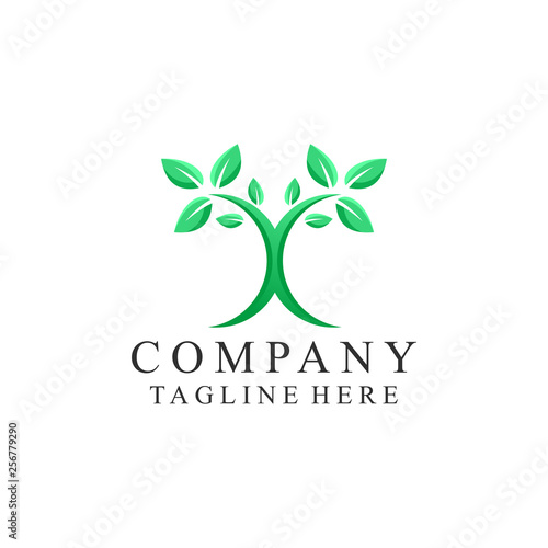 leaf logo design