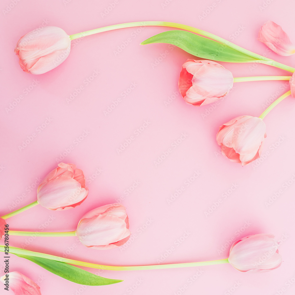 Obraz premium White flowers and petals on pink background. Female blogger concept. Flat lay
