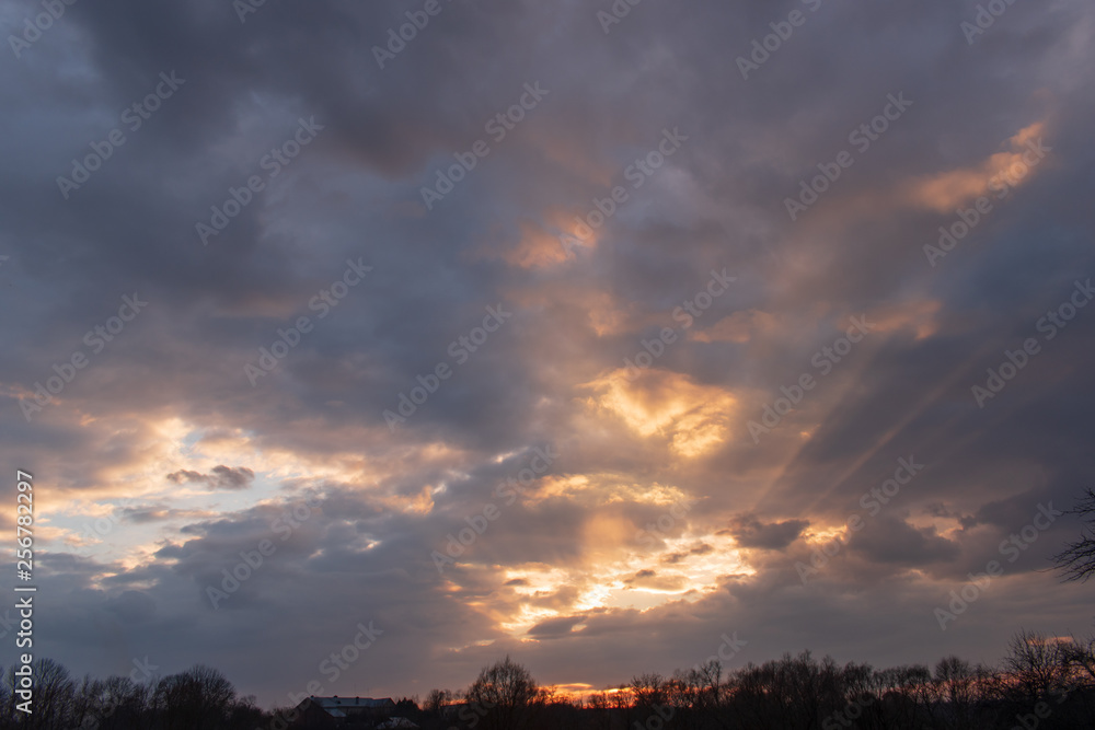 Fototapeta premium Sunset. clouds on the sky.
