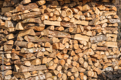 Huge reserve of firewood of deciduous breeds