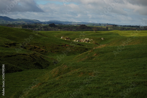 Landscape of New Zealand North Island