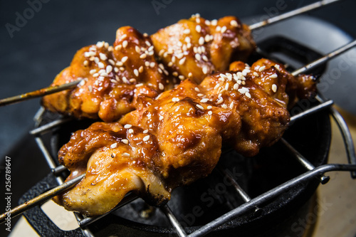 grilled chicken kebab, black background, top view