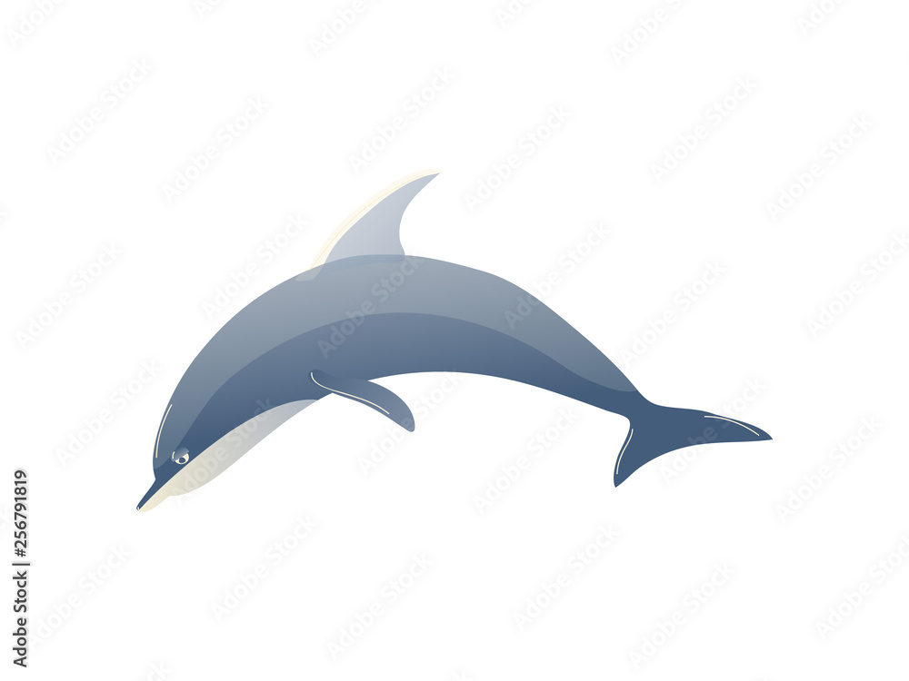 Cartoon dolphin on white background. Water life. Cartoon dolphin on white background. Water life.