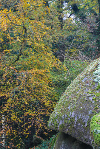 Forêt de Huelgoat dans le Finistère en Bretagne à l'automne, forêt de légendes, 