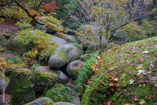 Forêt de Huelgoat dans le Finistère en Bretagne à l'automne, forêt de légendes, 