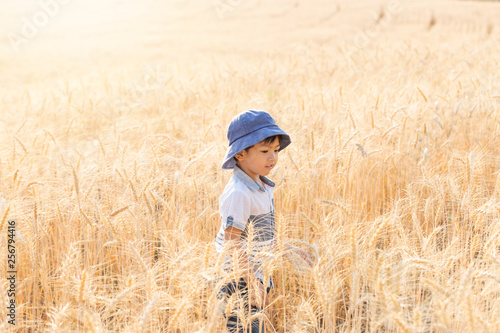 Asian Boy having fun and playing in a wheat field on summer. © jat306