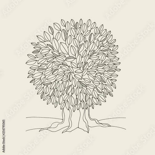 Oak tree contour hand drawn...