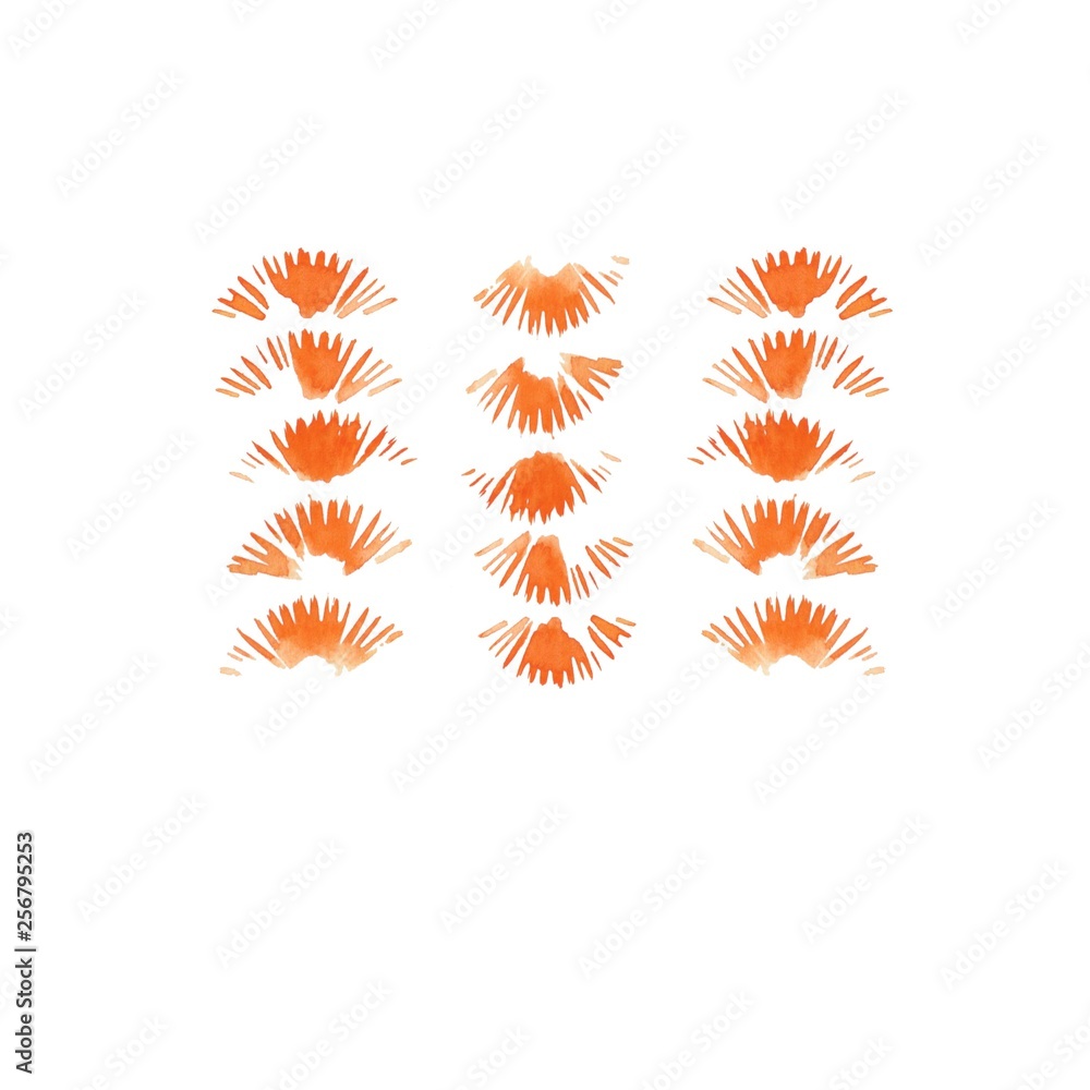 Obraz premium Watercolor elements for design