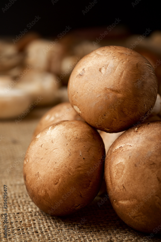 Mushrooms close up Mushrooms close up