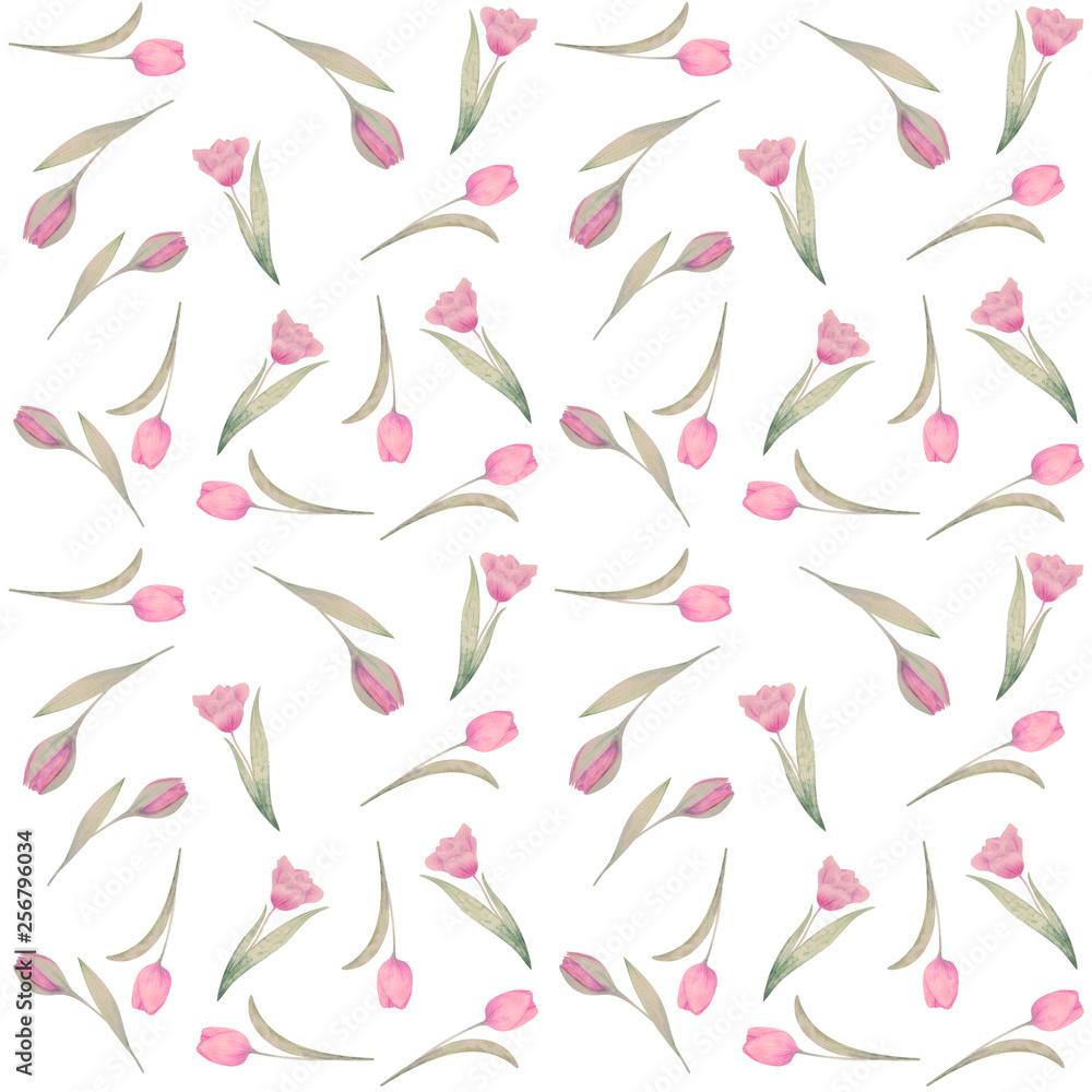 Seamless pattern hand-drawn watercolor. Spring pink tulips Seamless pattern hand-drawn watercolor. Spring pink tulips