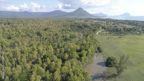 Stunning view of a forest, mountain and open sea photo