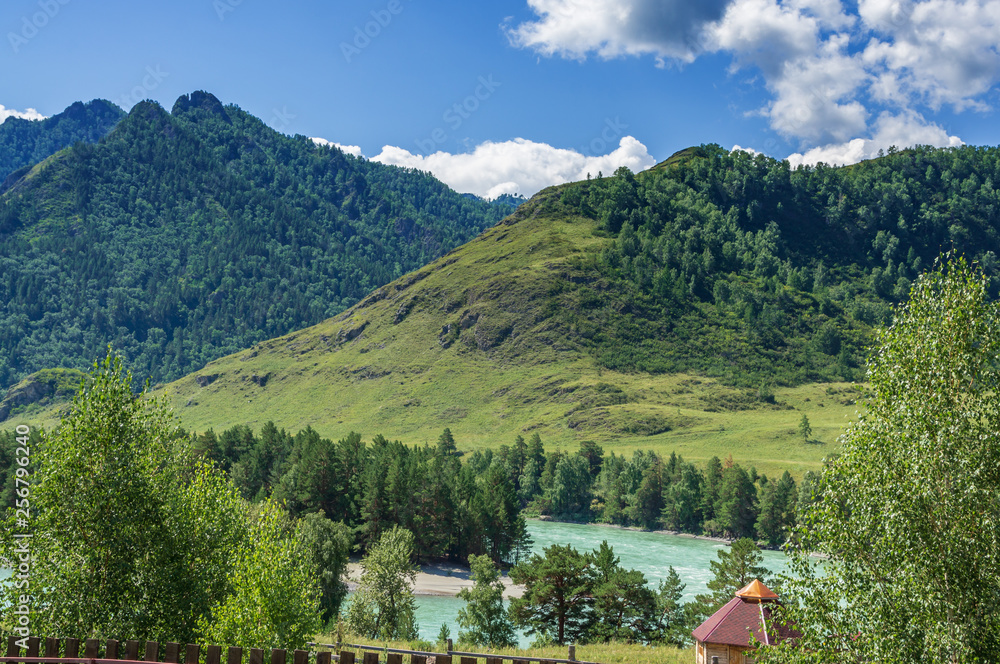 Katun river in Altai flows between the mountains covered with greenery Katun river in Altai flows between the mountains covered with greenery