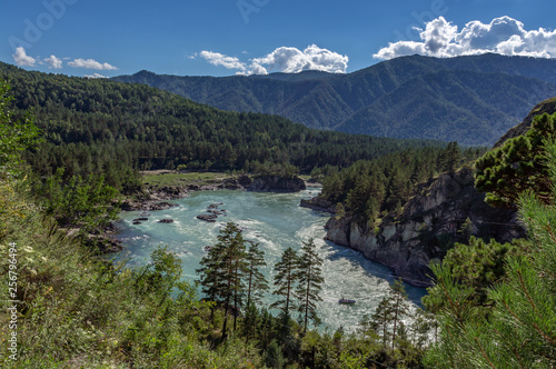 Katun river in Altai flows between the mountains covered with greenery