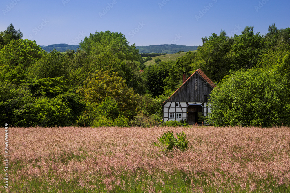 Weserbergland Ostwestfalen einsam Weserbergland Ostwestfalen einsam