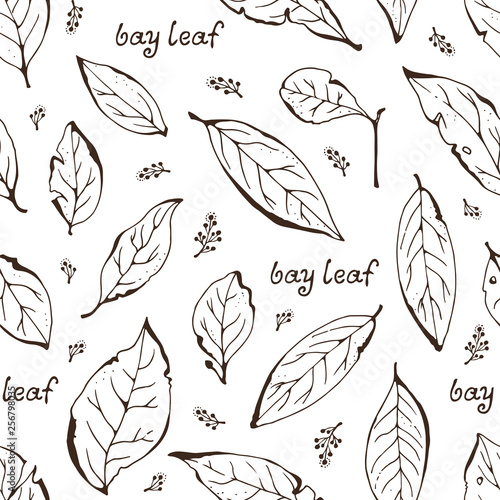 Bay leaves seamless background, herbs illustration with text